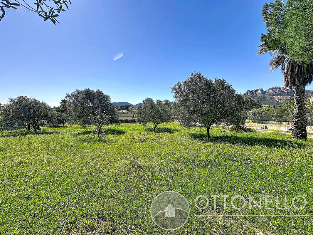 Terrain à ROQUEBRUNE-SUR-ARGENS