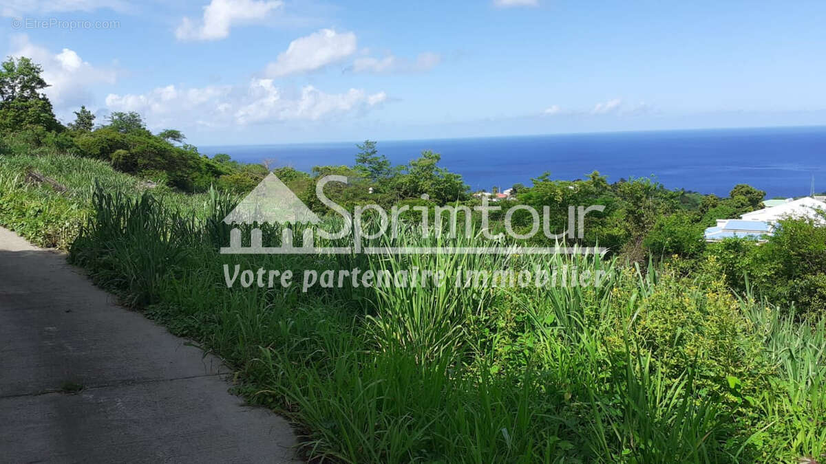 Terrain à VIEUX-HABITANTS