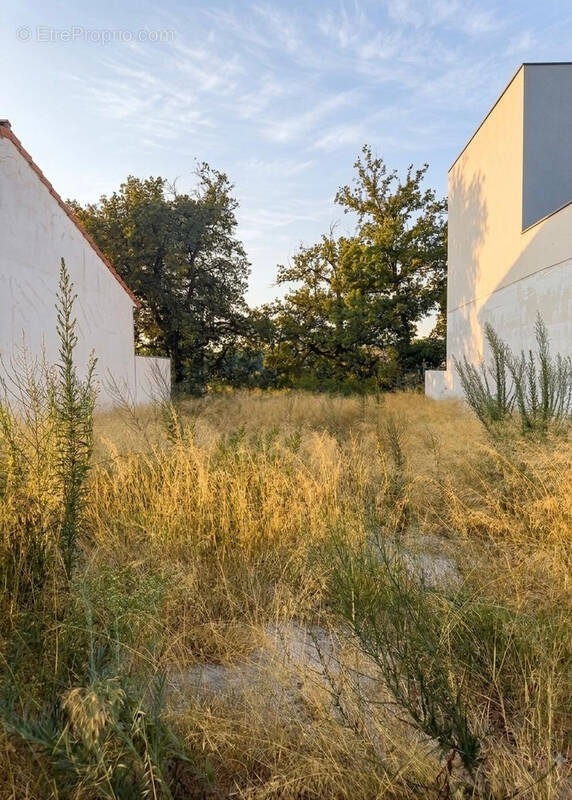 Terrain à PERPIGNAN
