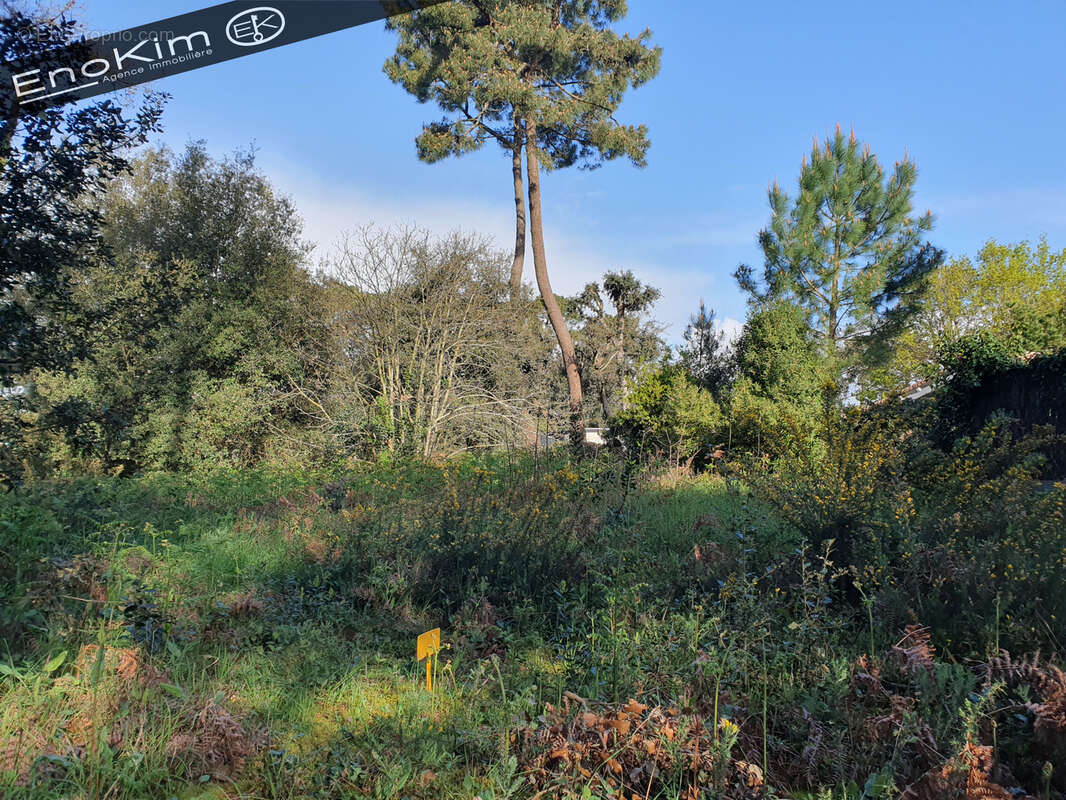 Terrain à JARD-SUR-MER