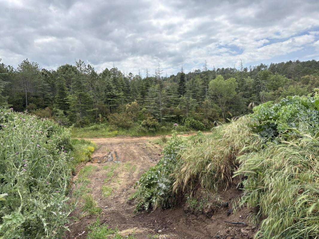 Terrain agricole et naturel - photo 12