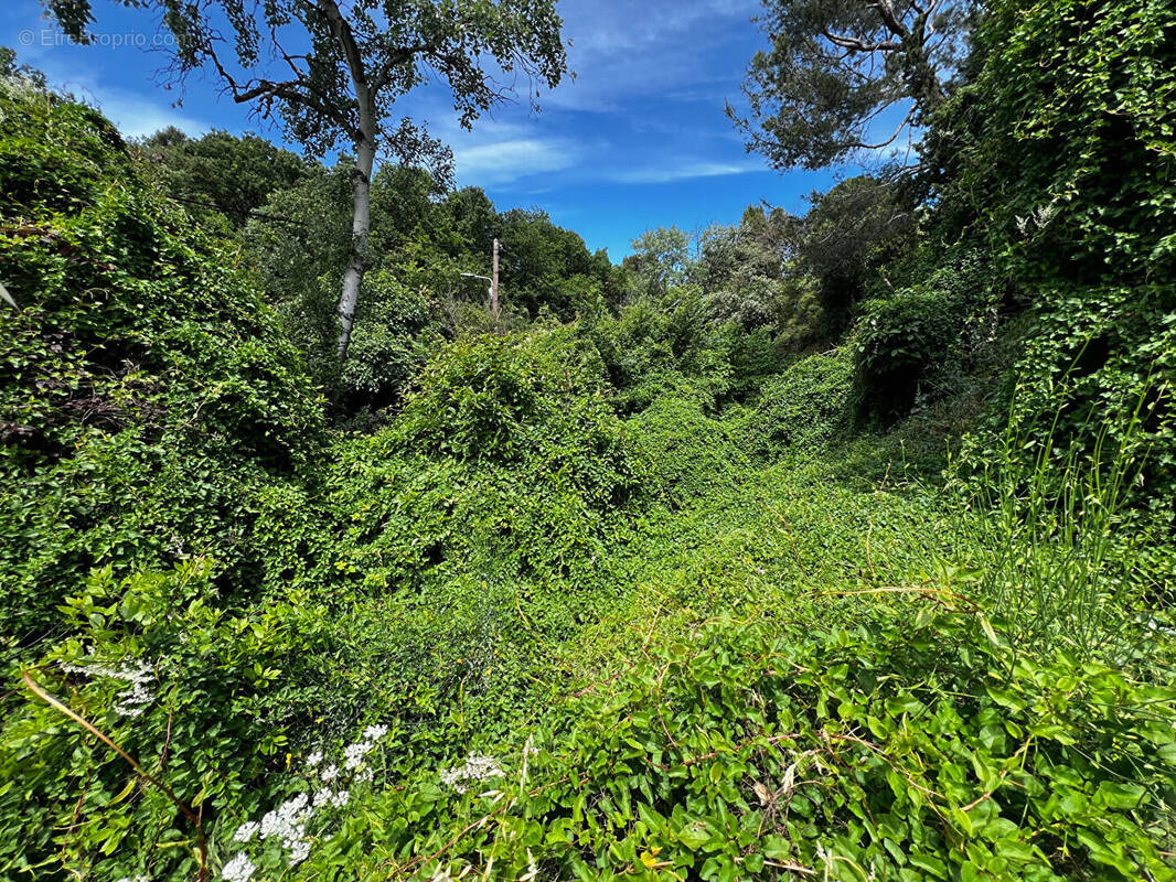Terrain à VILLENEUVE-LES-AVIGNON