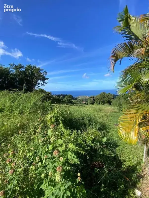 Terrain le morne vert - photo 7