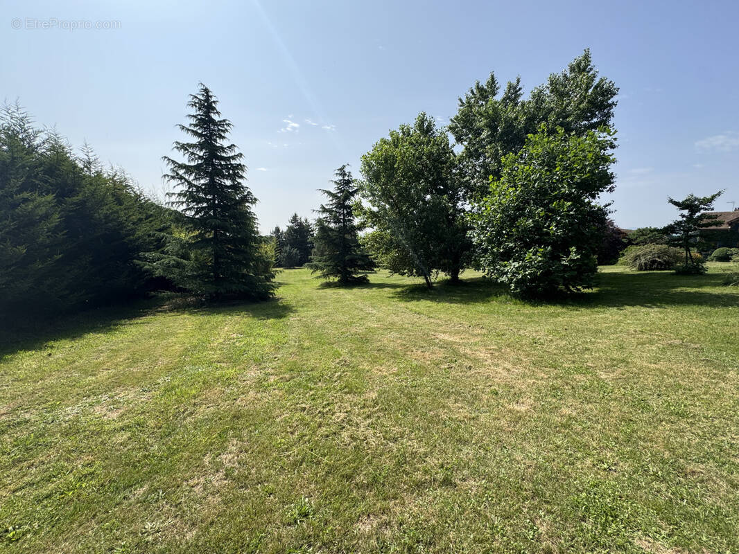 Terrain à ANNONAY