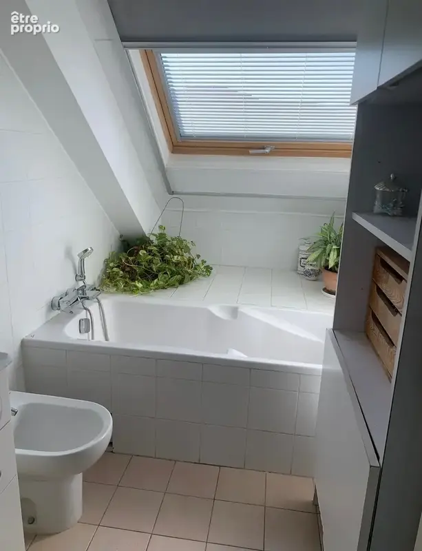 Appartement t3 à l ' ile rousse - photo 56