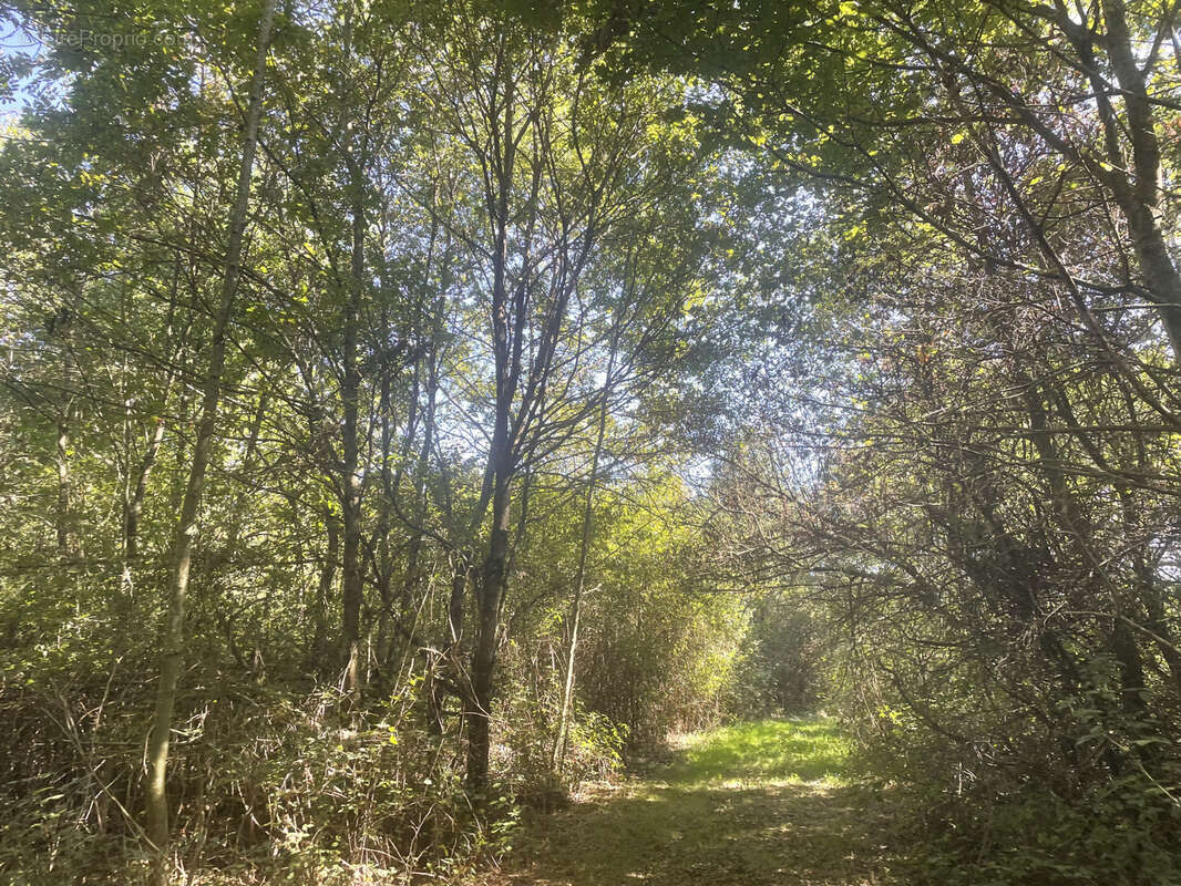 Maison à MAZEROLLES