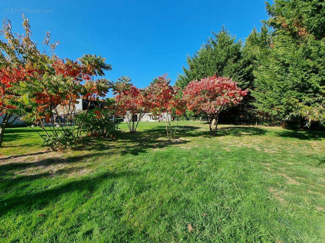 Maison à SAINT-MARS-LA-JAILLE