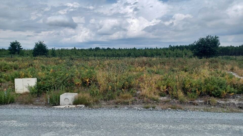 Terrain à AUDENGE