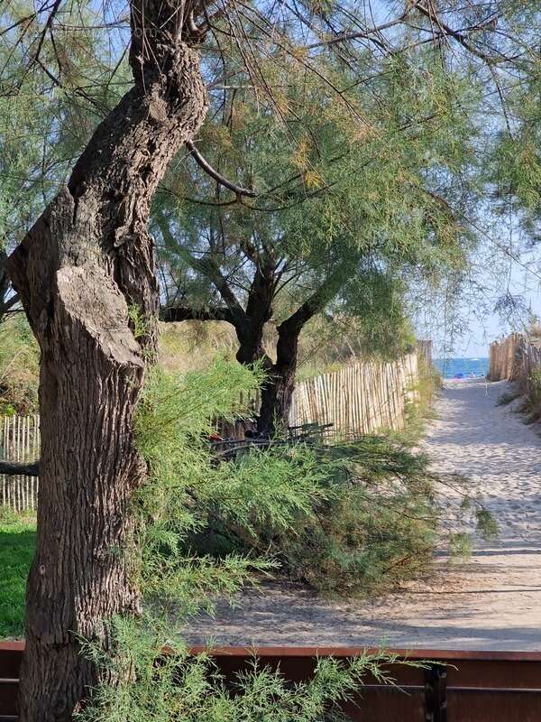 Appartement à LA GRANDE-MOTTE