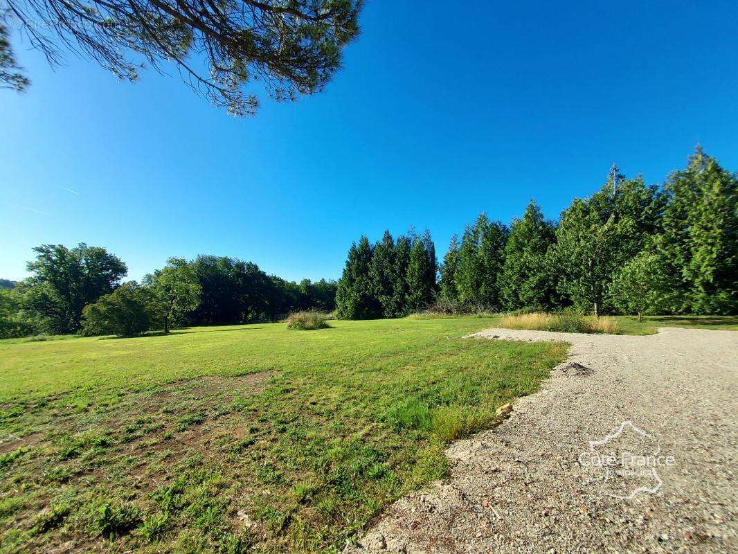 Terrain à SAINTE-COLOMBE