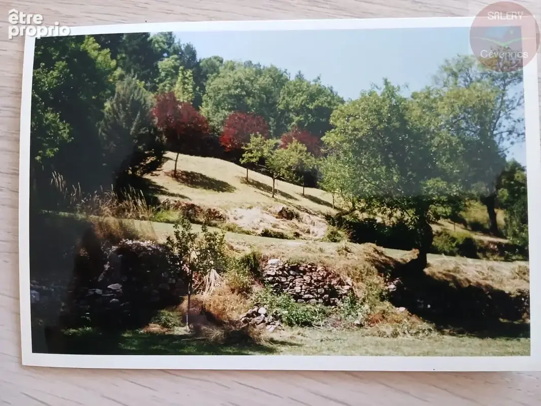 Terrain Alzon - photo 5