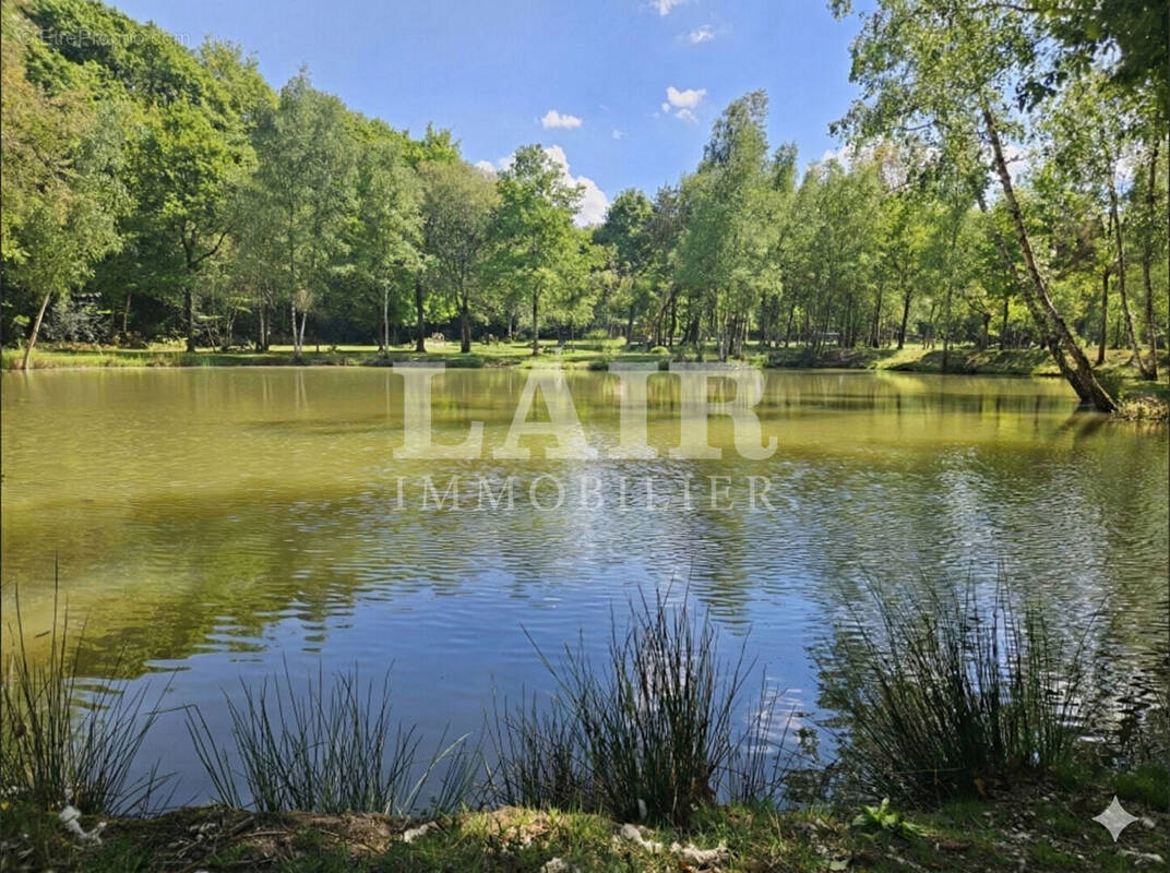 Terrain à SAINT-LEONARD-DES-BOIS