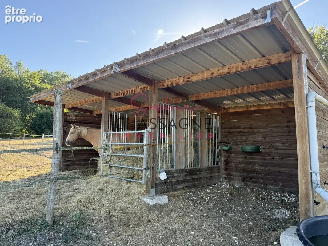 Propriété équestre en pierre de 350 m2 sur 10 hectares - photo 4