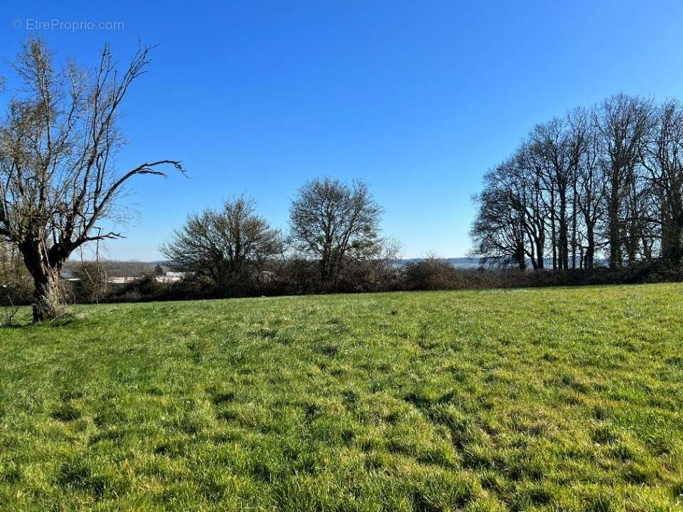 Terrain 704 m² à Gournay-En-Bray  - photo 2