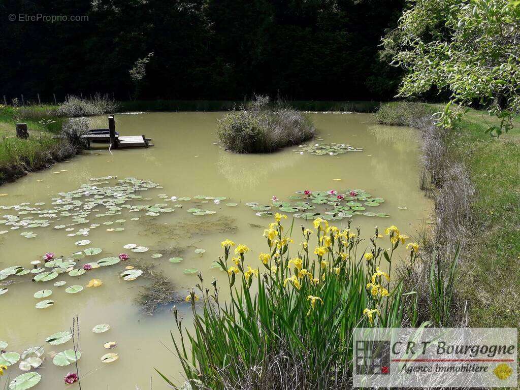 Maison à MOULINS-SUR-OUANNE