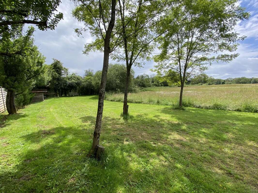 Maison de caractère de 4 chambres en pleine campagne,  avec près de 2ha de terrain attenant - photo 2