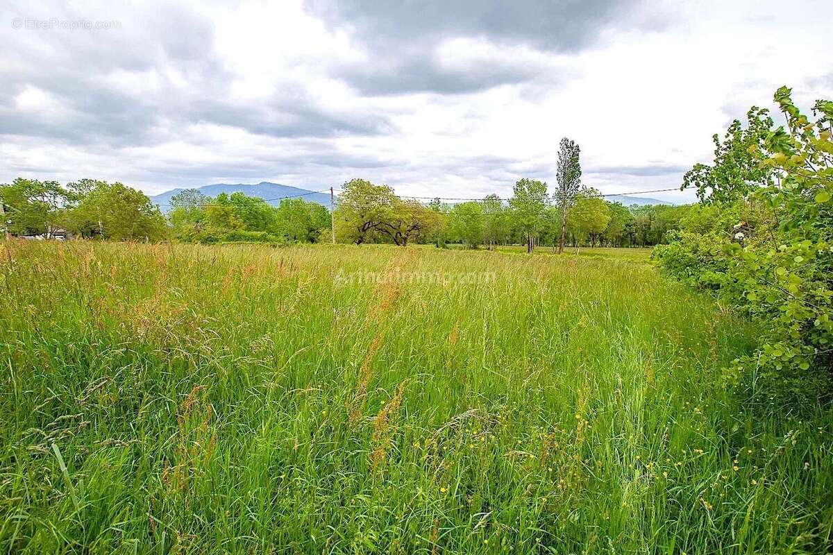 Vente Terrain Injoux-genissiat(01200) 139 000ï¿œ - photo 3