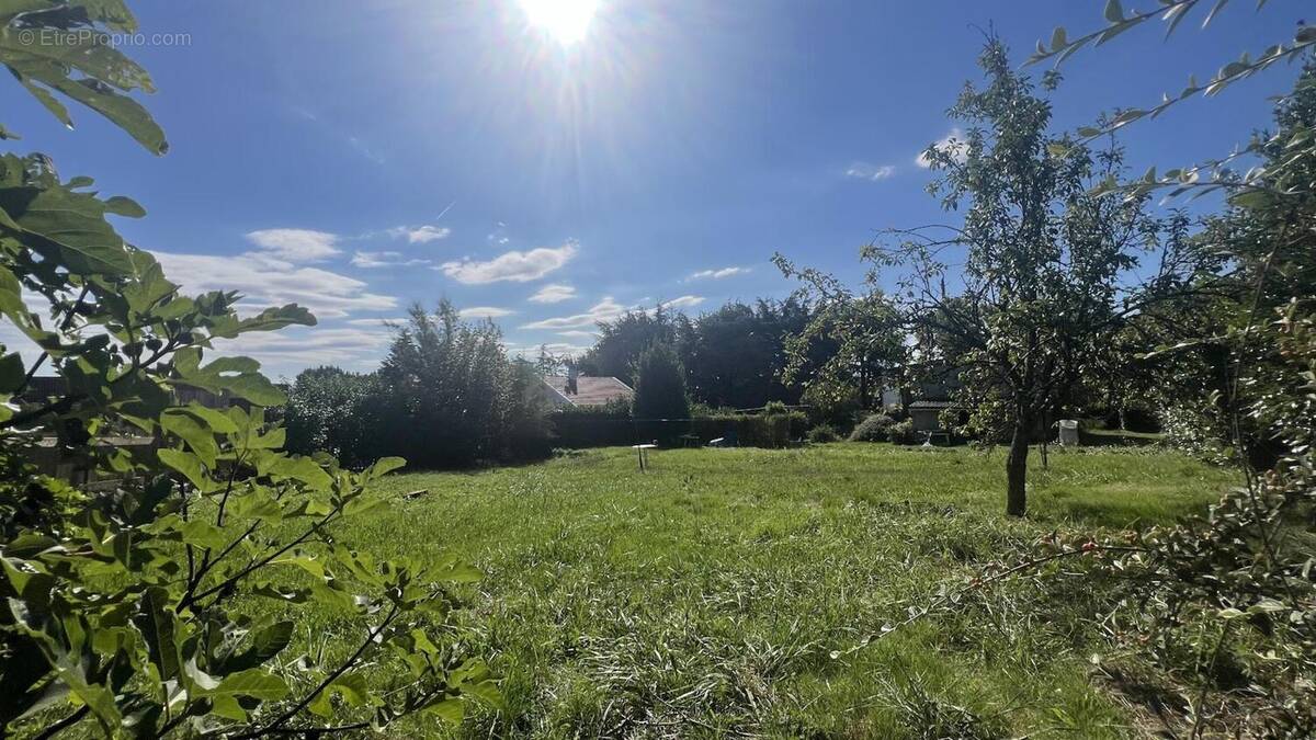 Photo 1 - Terrain à LA TOUR-DE-SALVAGNY