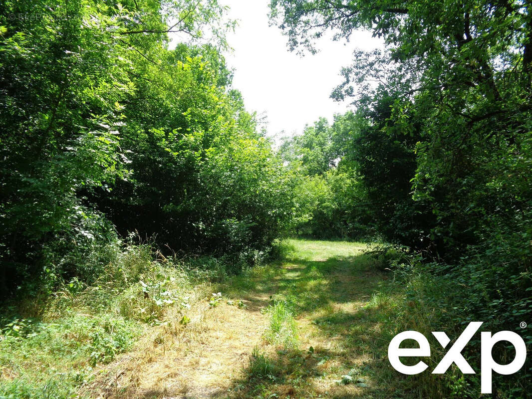 Maison à CHAMPAGNE-ET-FONTAINE