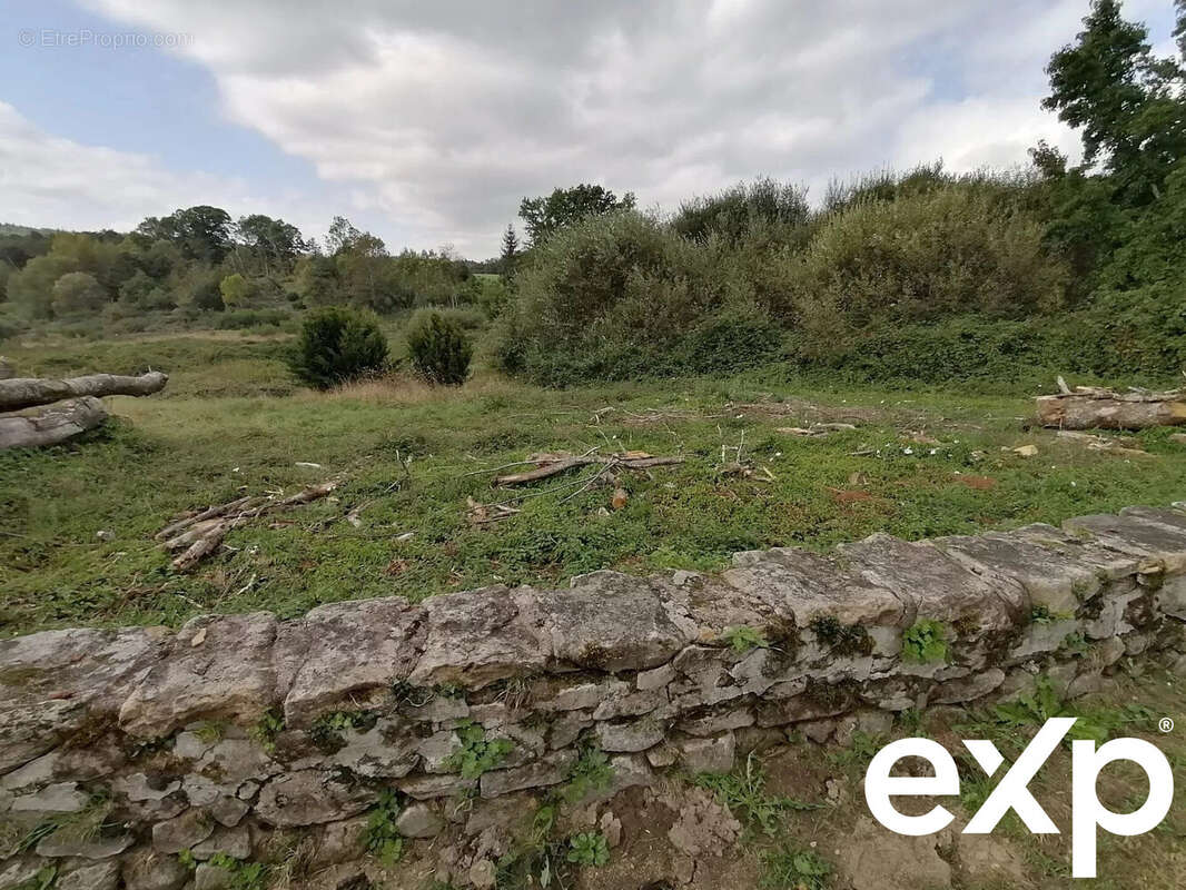 Terrain à CHATEAUPONSAC