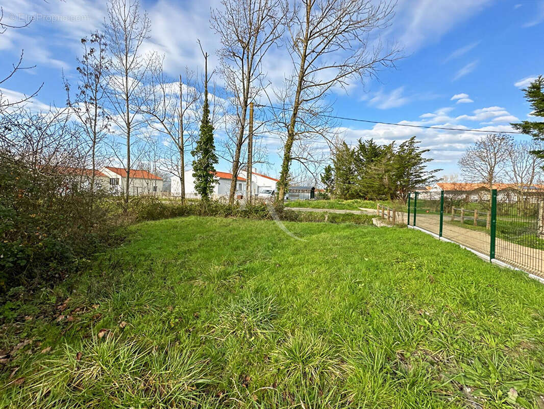 Terrain à LE PERRIER