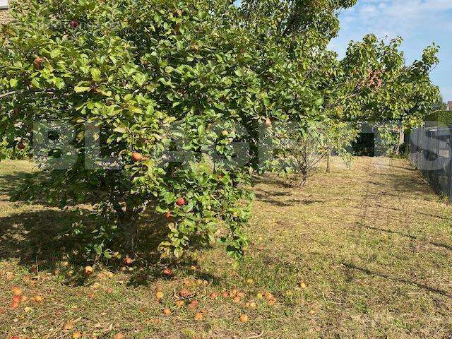 IMG_5313 - Terrain à SAINT-VRAIN