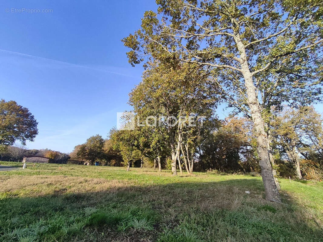 Terrain à PUYDANIEL