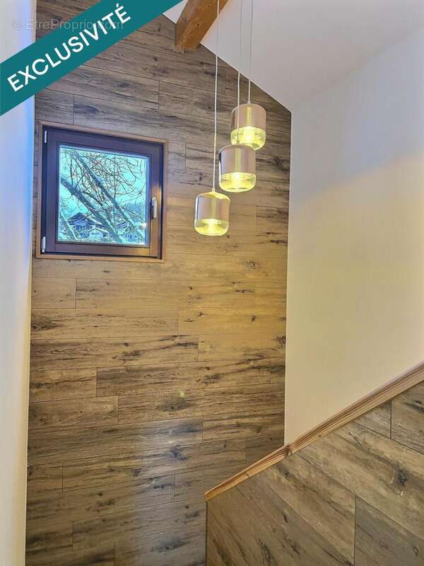 Photo 7 - Maison à THOLLON-LES-MEMISES