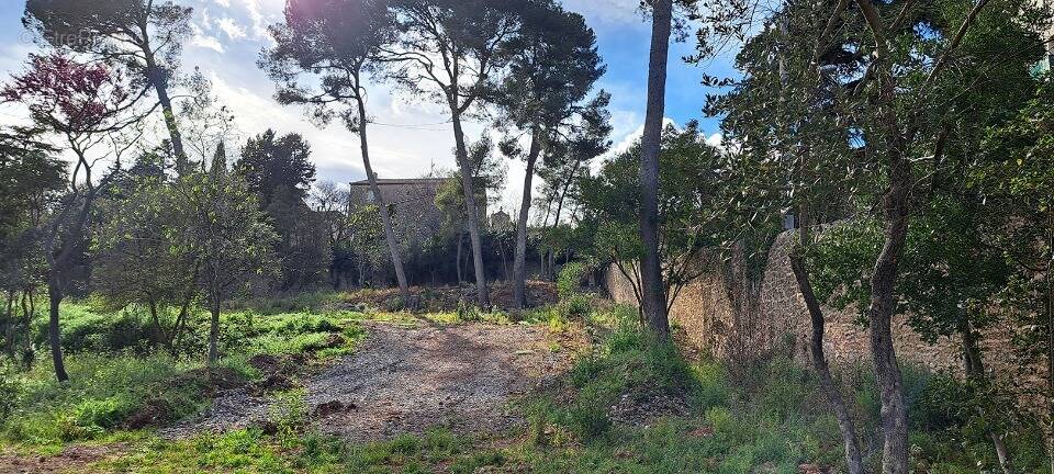 Terrain à COURNONSEC
