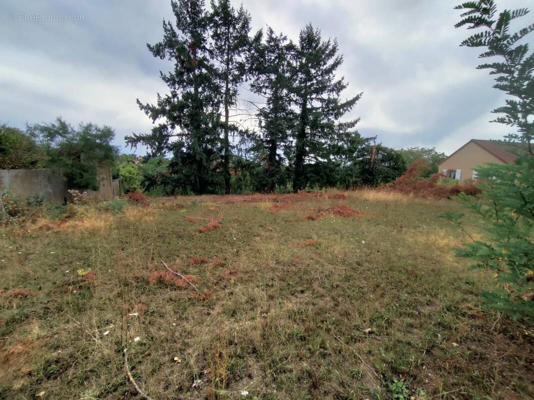 Terrain à SAINT-POURCAIN-SUR-SIOULE