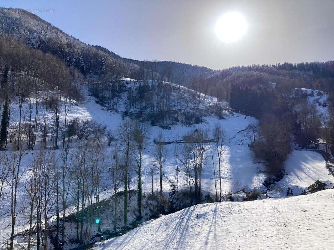 lyon neige