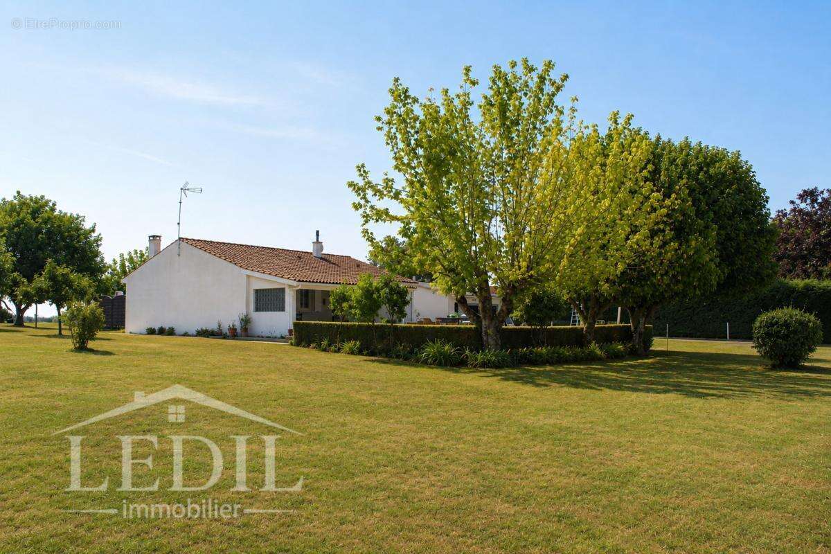 Maison de plain-pied avec 3 500 m² de terrain, dépendances et cadre de vie privilégié - photo 10