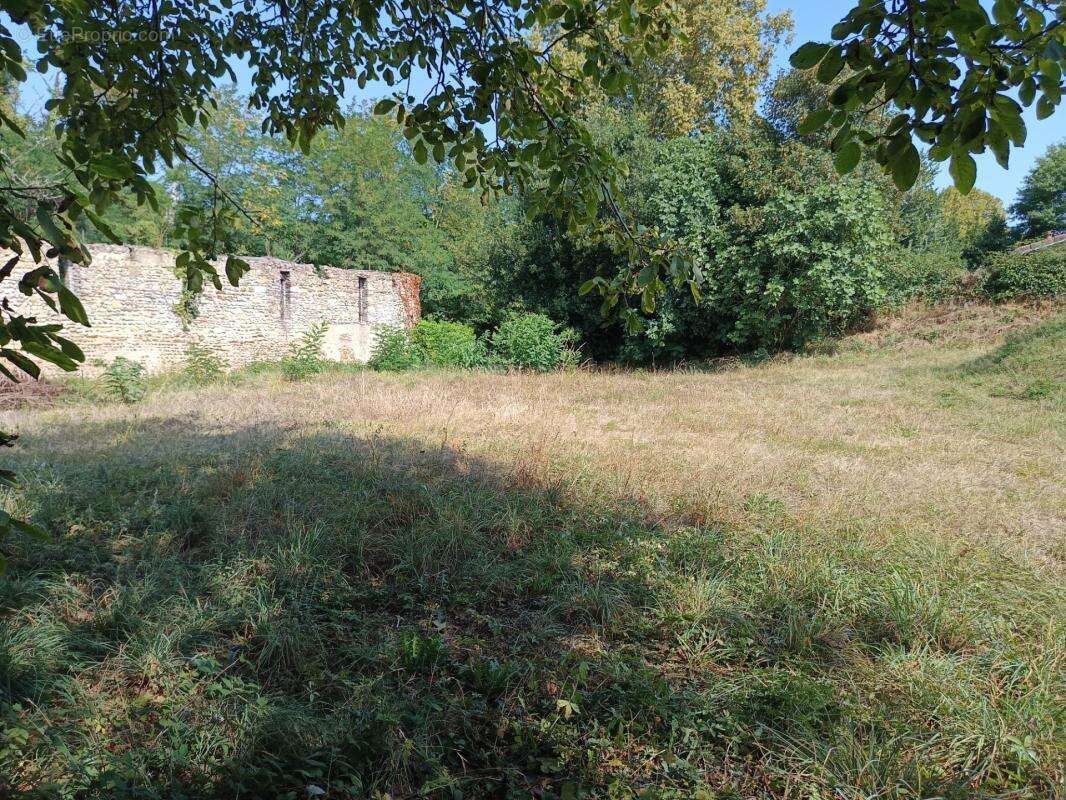 Terrain constructible de 1195 m² - photo 6