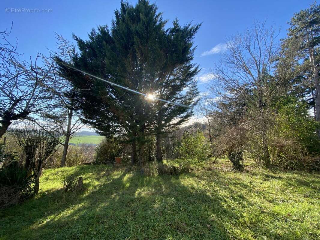 Terrain à bâtir de 956 m² à MONTASTRUC-LA-CONSEILLERE (31) - photo 3