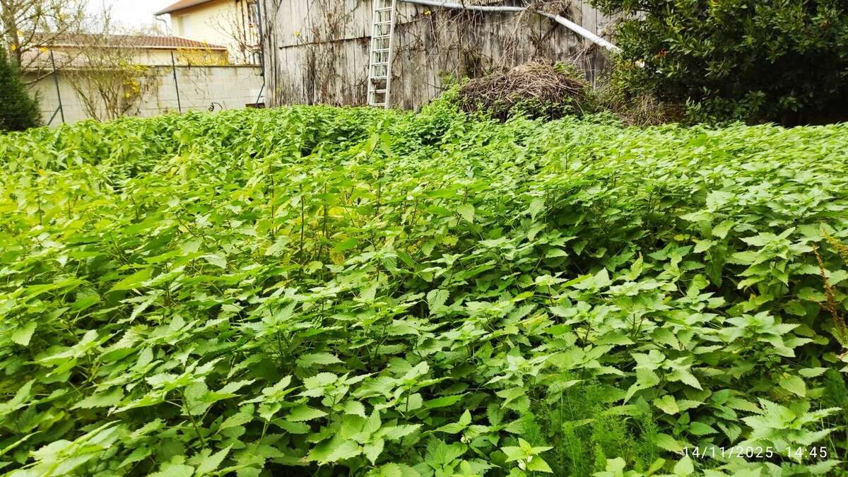 Maison à ALLIANCELLES