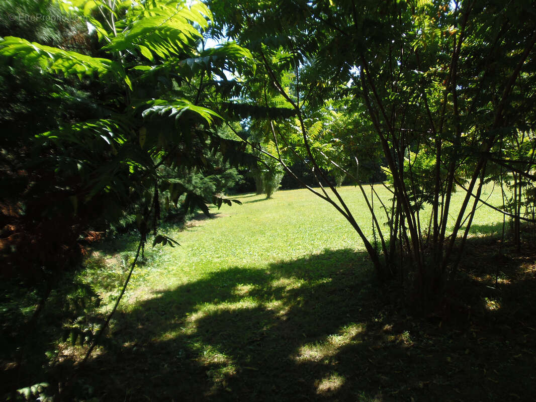 Maison à SAINT-THOMAS-DE-CONAC