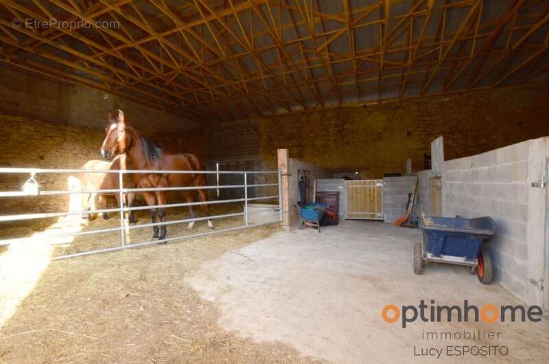  Rare à la vente – Propriété équestre en pierres  14 hectares de terrain - photo 24