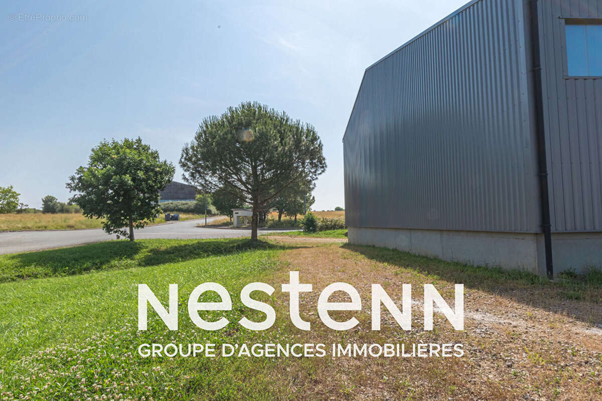 Commerce à PAMPELONNE