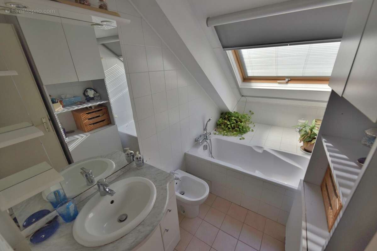 Appartement à L'ILE-ROUSSE