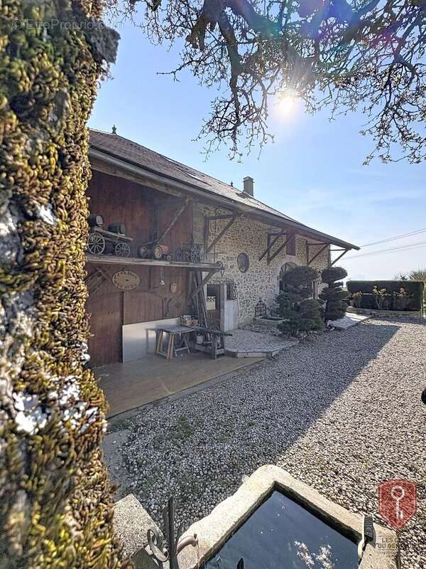 Maison à SAVIGNY