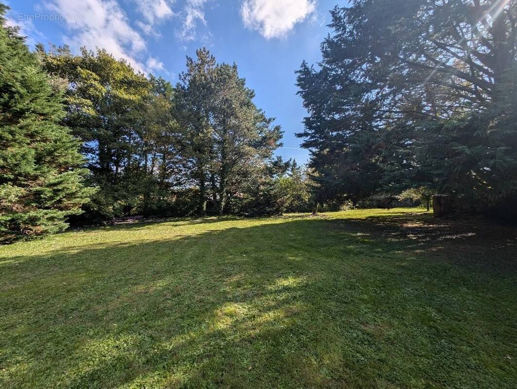 Terrain à MIGNALOUX-BEAUVOIR