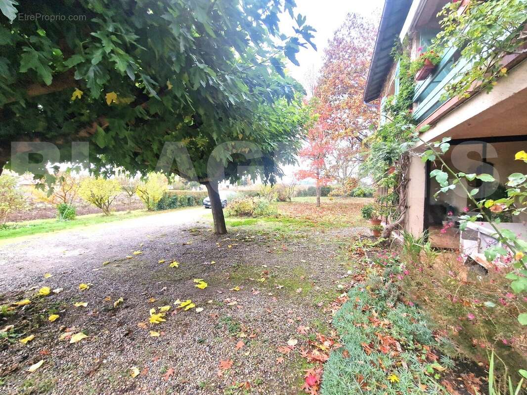 20251029_110700 - Maison à MOISSAC