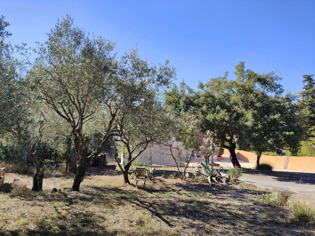 Photo 3 - Maison à BAGNOLS-EN-FORET