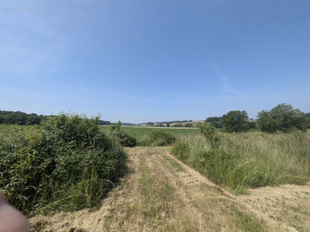Maison à LA CHAPELLE-BLANCHE-SAINT-MARTIN