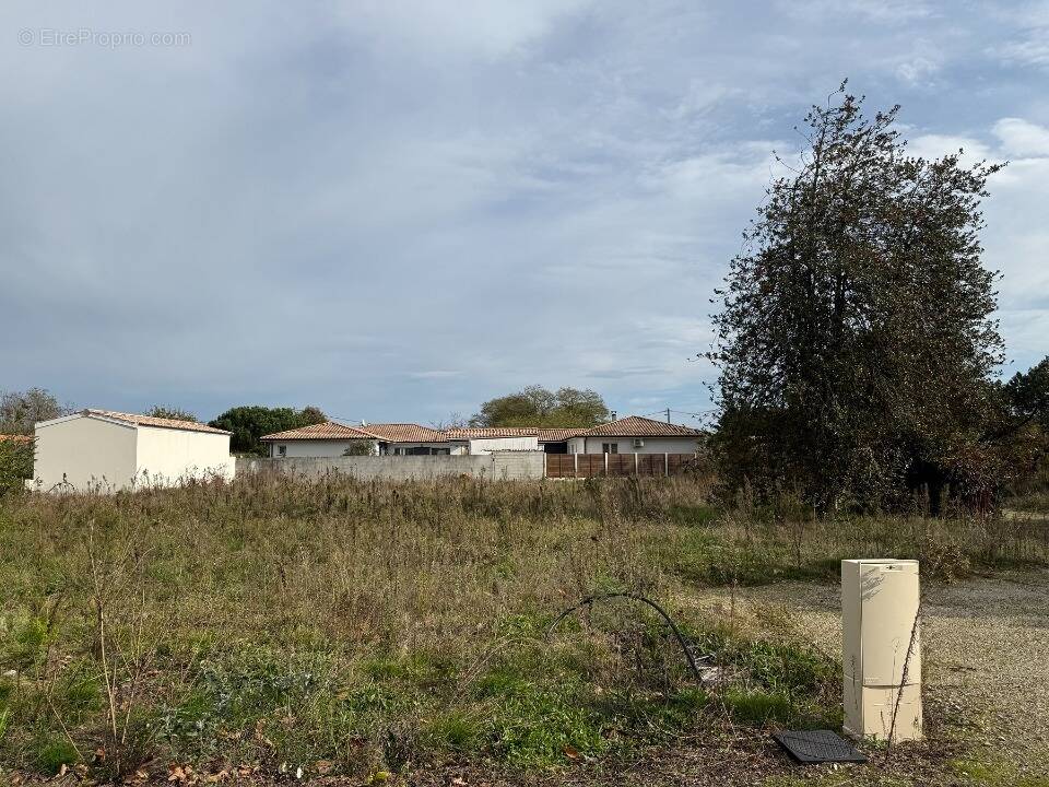 Terrain à SAINT-SELVE