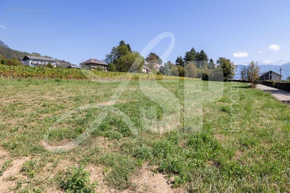 Terrain viabilisé (Lot 3) - Terrain à SAINT-PIERRE-D&#039;ALBIGNY
