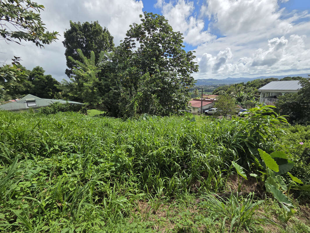 Terrain à SAINT-JOSEPH