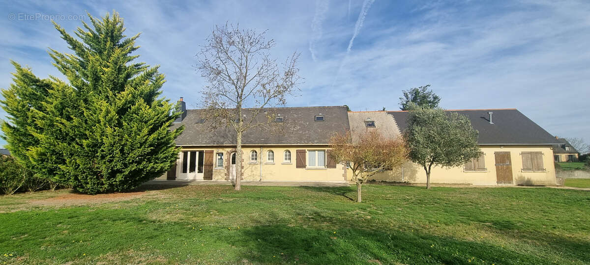 Maison à BEAULIEU-SUR-LAYON