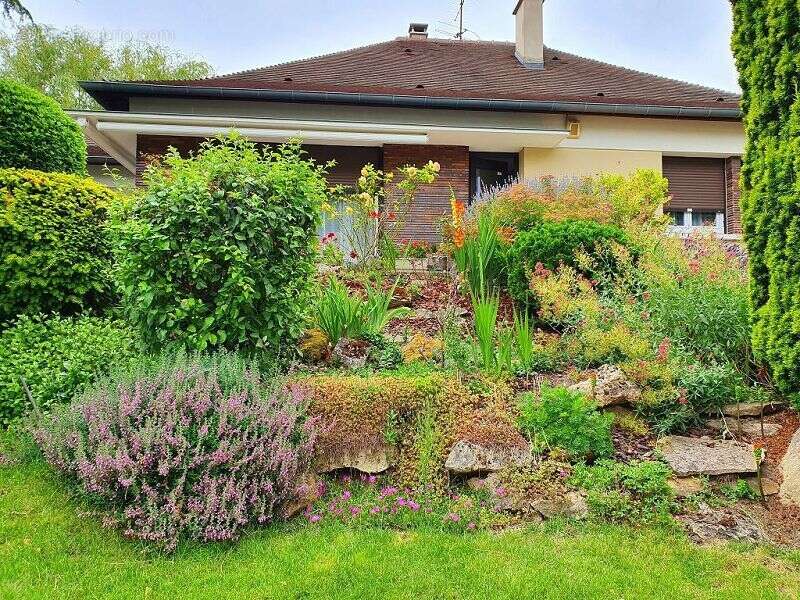 Maison à LE PLESSIS-TREVISE