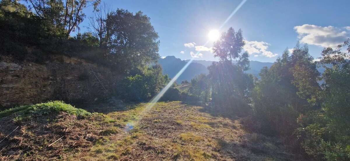 Terrain à SARROLA-CARCOPINO